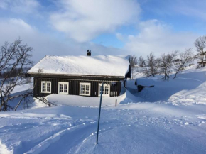 Charming cabin in beautiful Ustaoset
